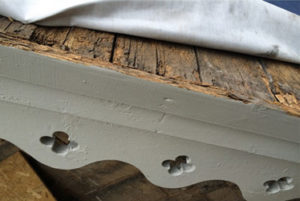 dry rot